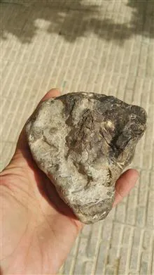 یک