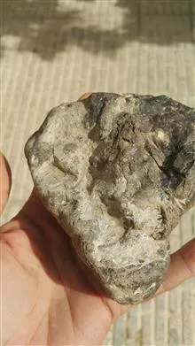 یک