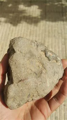 یک
