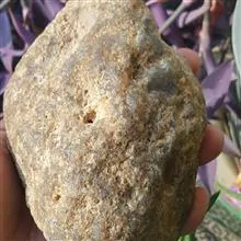 یک