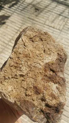 یک