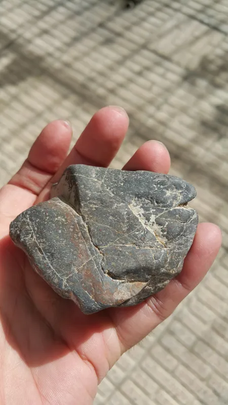 یک قطعه سنگ آهن دار مشکوک به شهابسنگ