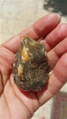 یک