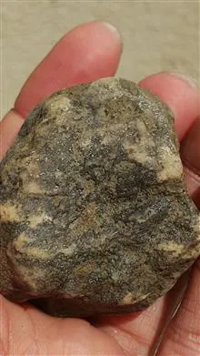 یک