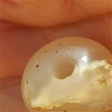 یک