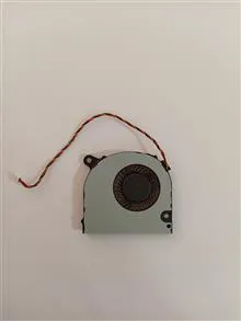 فن