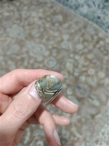 باباقوری