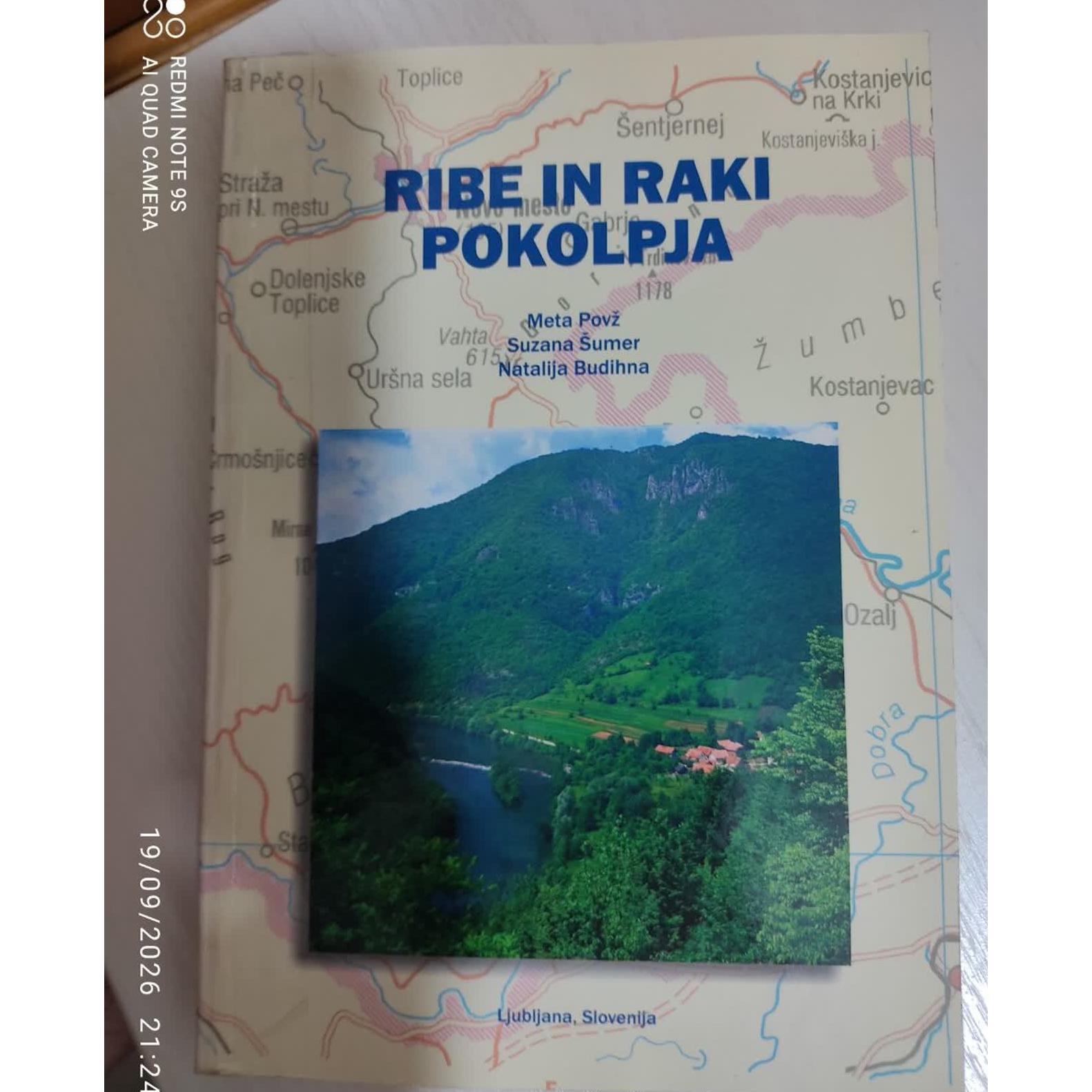 Ripi in riki