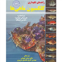 راهنمای