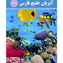 راهنمای