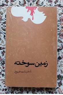 زمین
