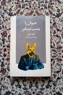 حیوان