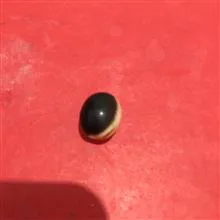 نگین