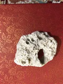 فسیل
