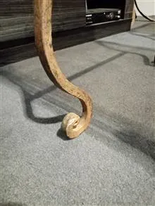 عسلی