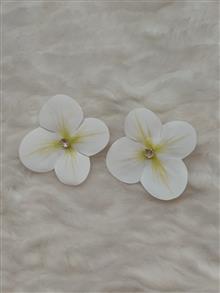 گوشواره