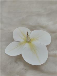 گوشواره