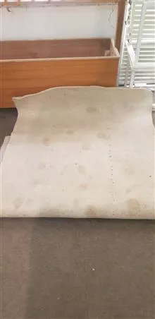 نمد