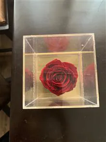 رز