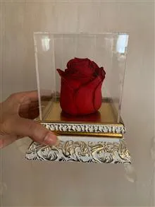 رز