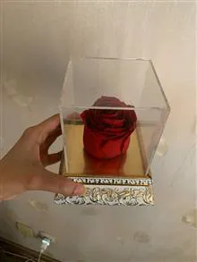 رز