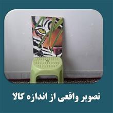 ببر