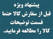 ببر