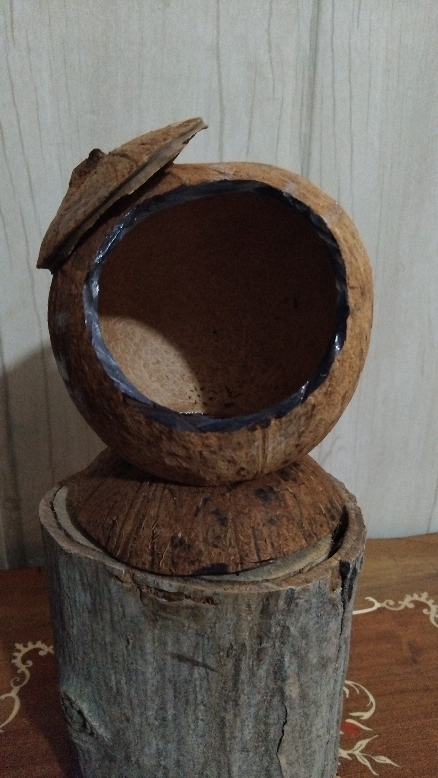 لانه طبیعی با نارگیل