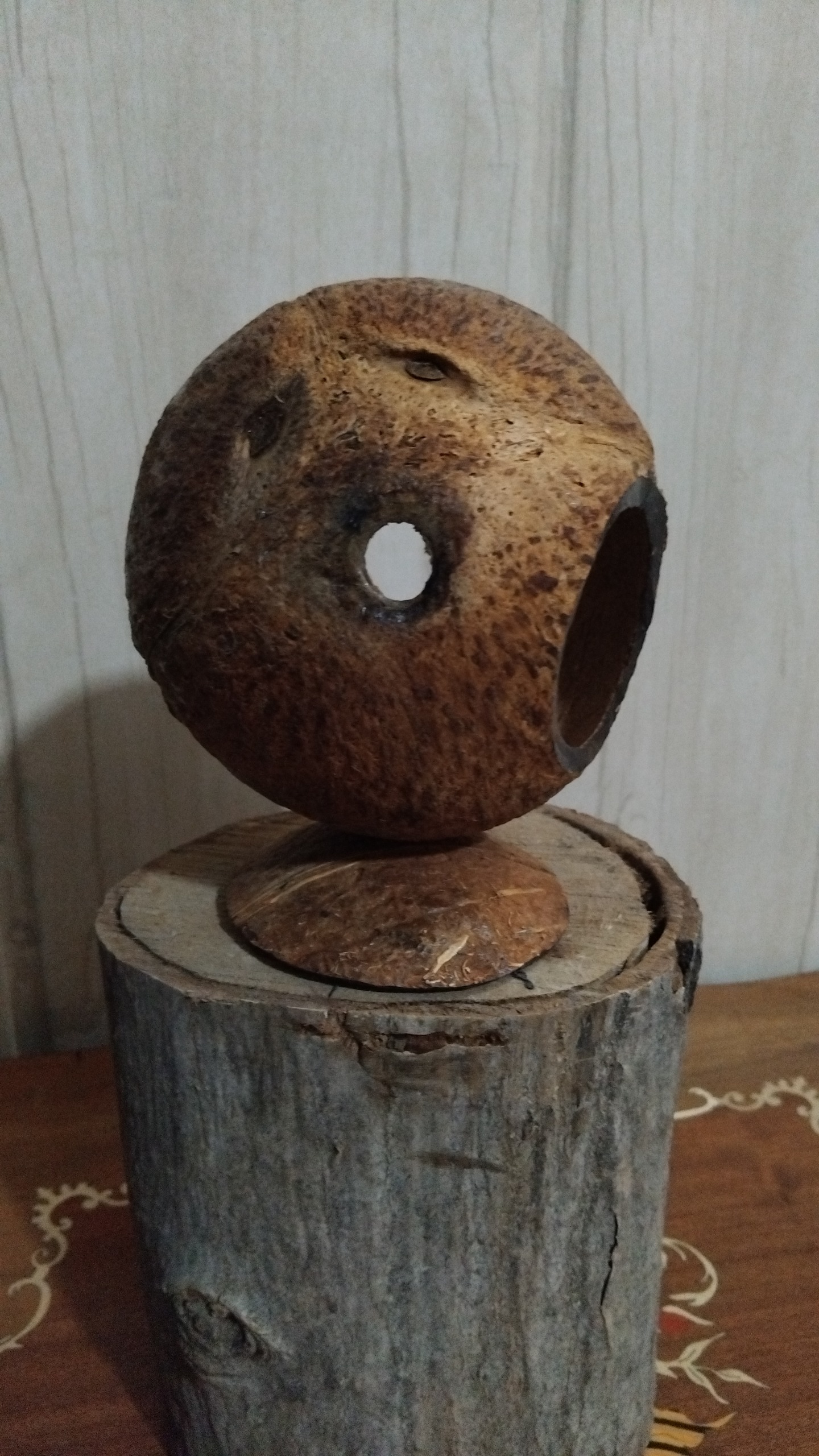 لانه طبیعی با نارگیل