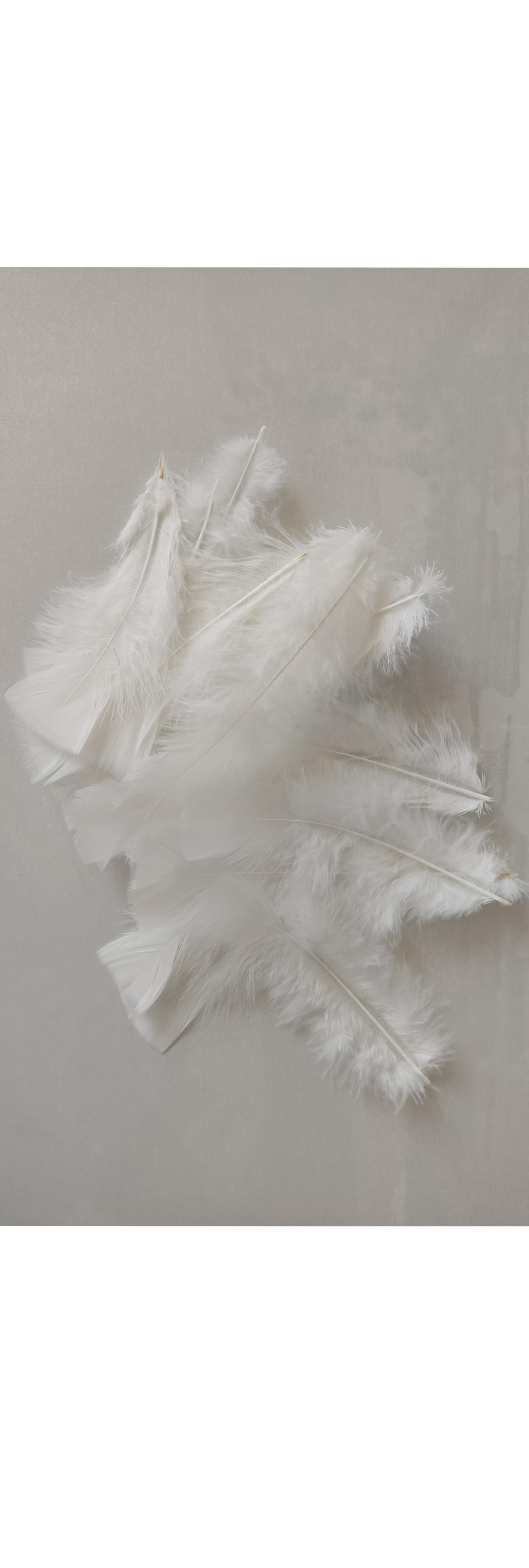 پر آویز دریم کچر