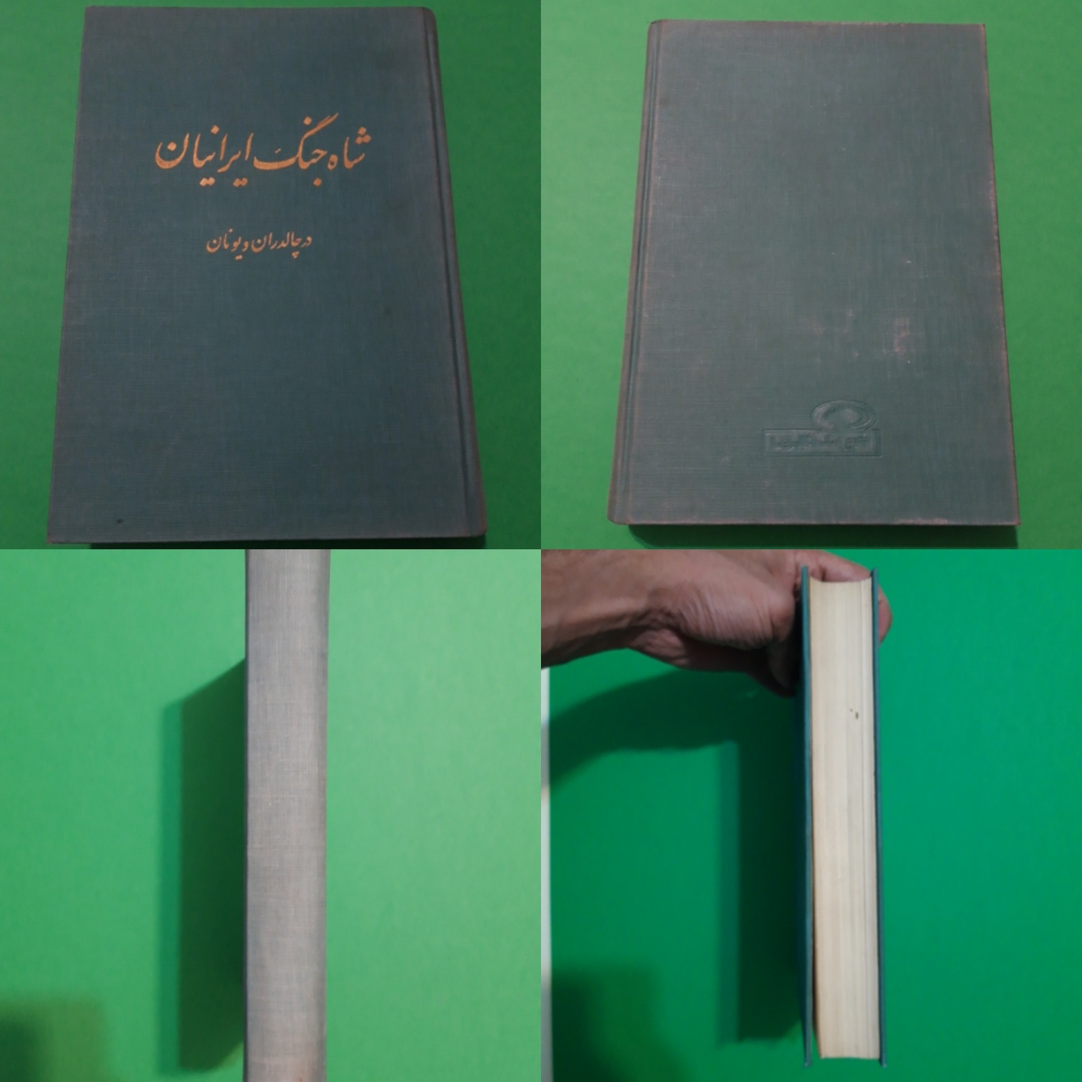 شاه جنگ ایرانیان ذبیح الله منصوری