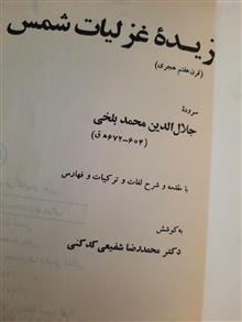 گزیده