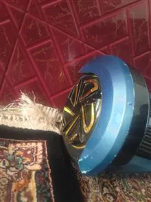 اسکوتر