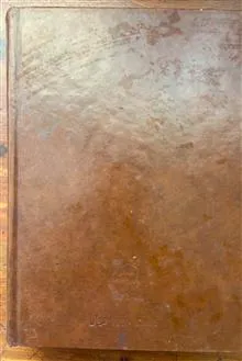 زندگانی