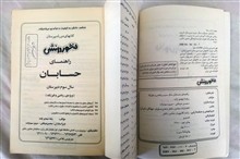 راهنمای