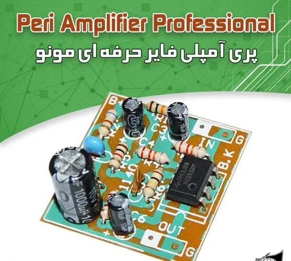 کیت پری آمپلیفایر مونو همه کاره، حرفهای