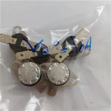ترموسوئیچ