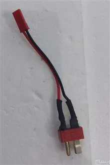 فیش