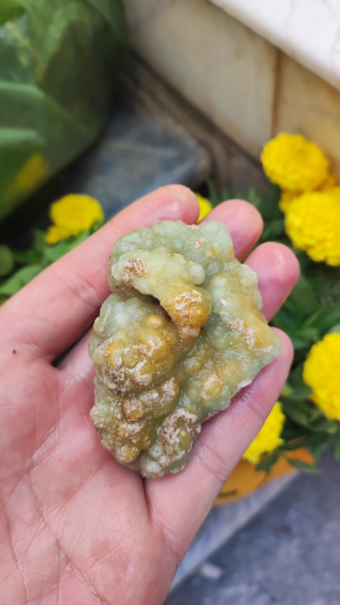 سنگ سبز تاولی