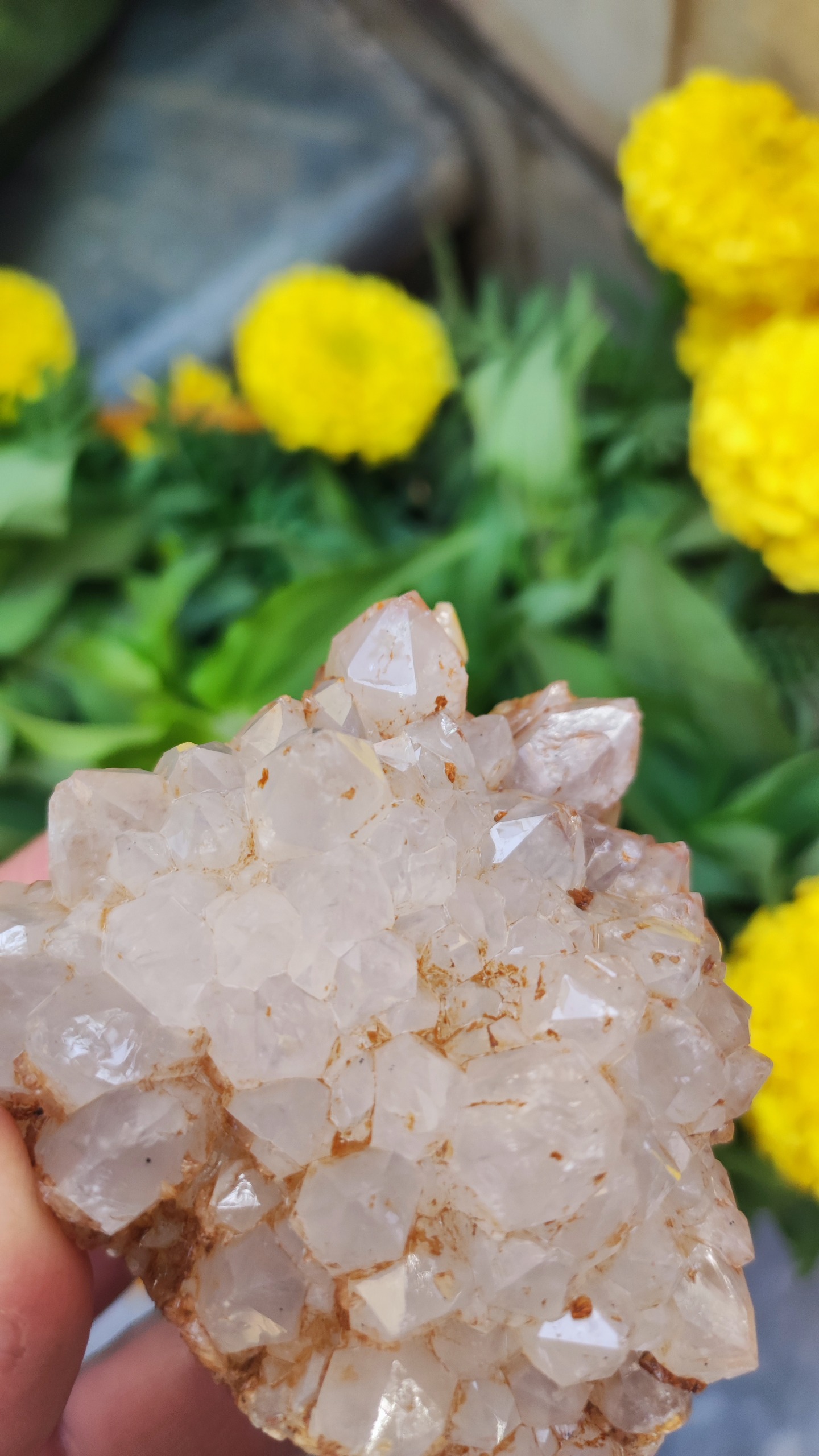 کلاستر منشوری خوشه ای کوارتز