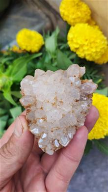 کلاستر