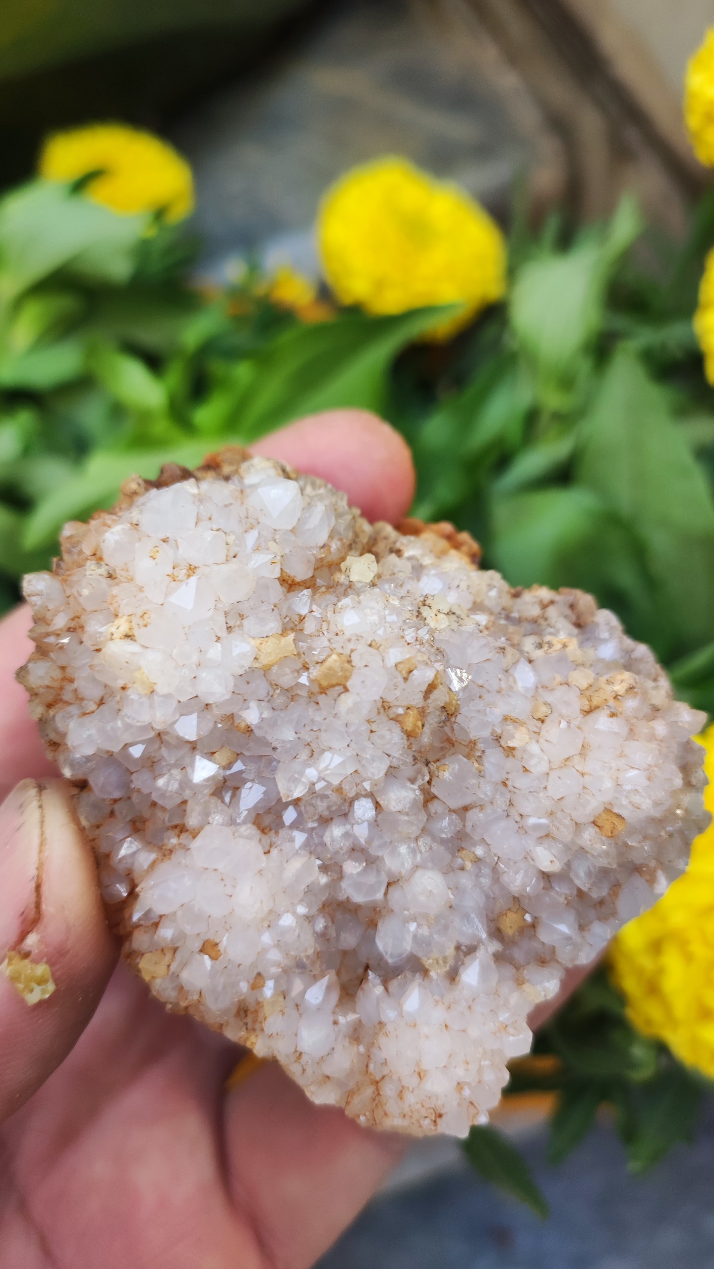 کلاستر خوشه ای کوارتز