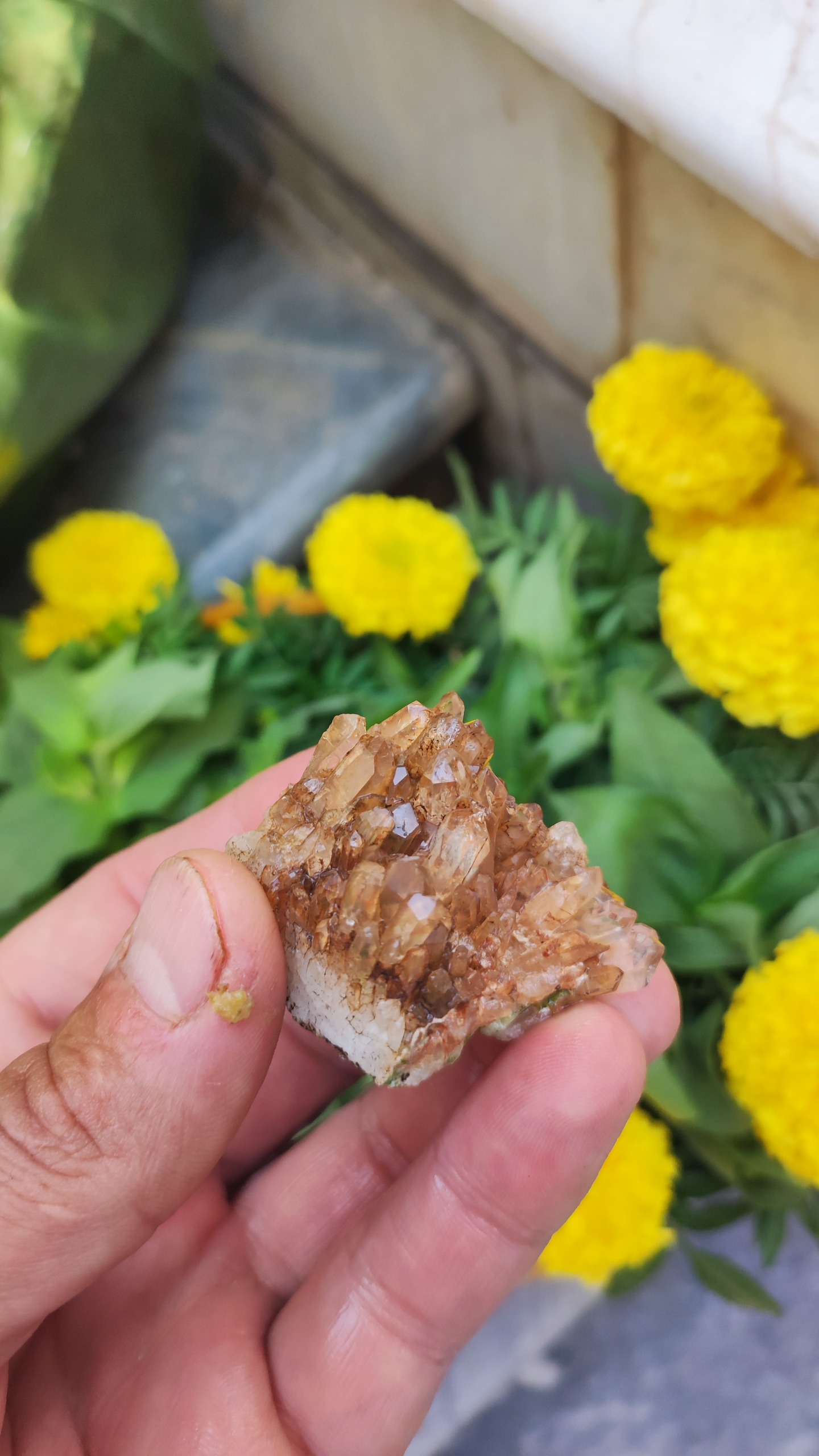 کلاستر کوارتز منشوری