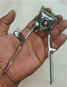 ریش