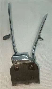 ریش