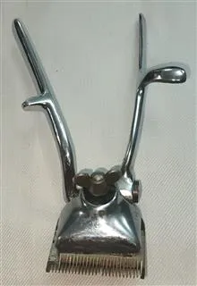 ریش