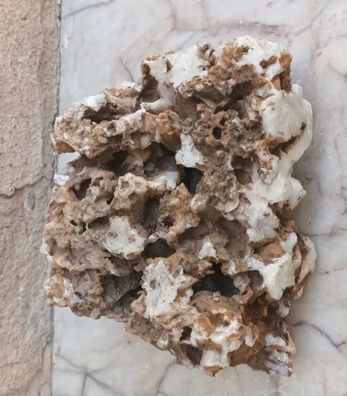 سنگواره کوارتز رسوبی