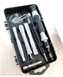 پیچگوشتی