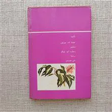 گیاهان