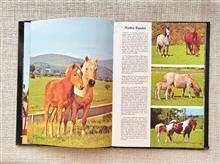 Horses